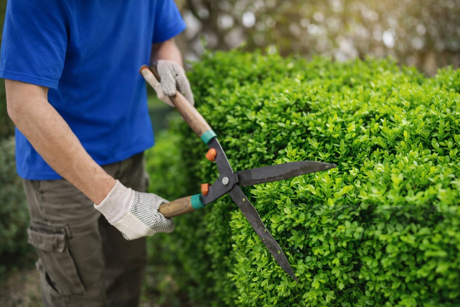 Gardening & External Maintenance service image